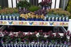 Heritage Perennials on Display with Bench Wrap - At Canadale's